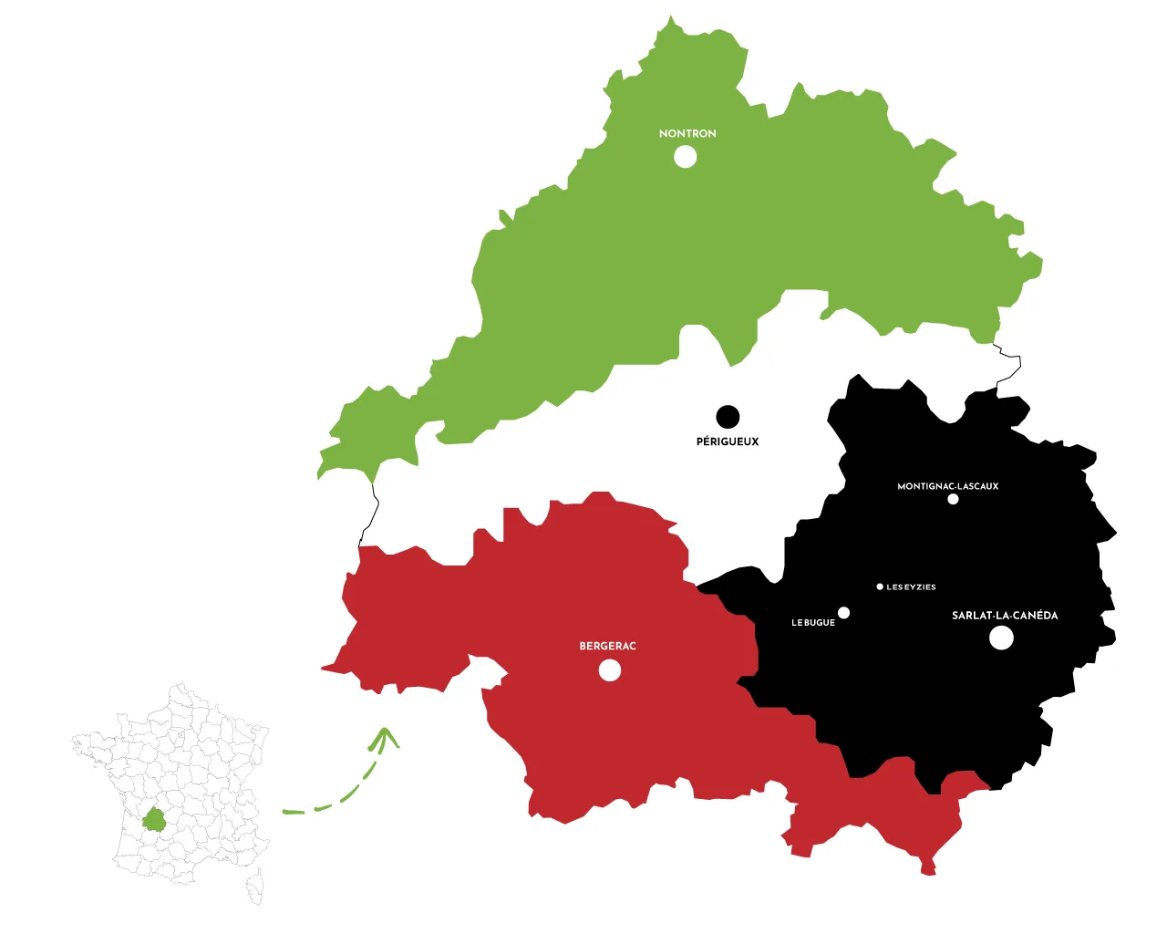 Perché il Périgord ha 4 colori? (Bianco, Viola, Verde, Nero)