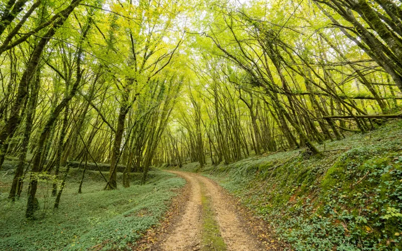 Trail en Dordogne