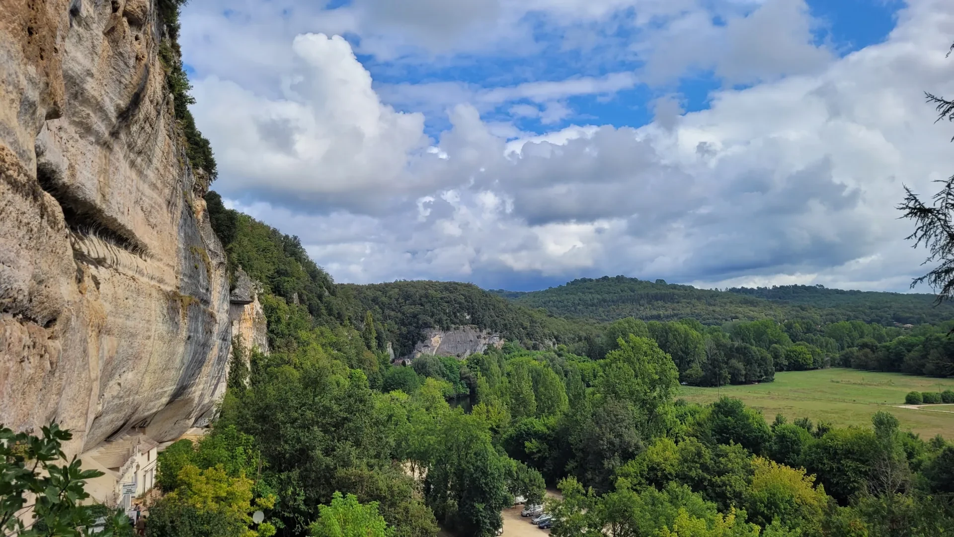 La canopée vue du Grand Roc