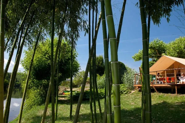 Balade à cheval, entre rivière et forêt